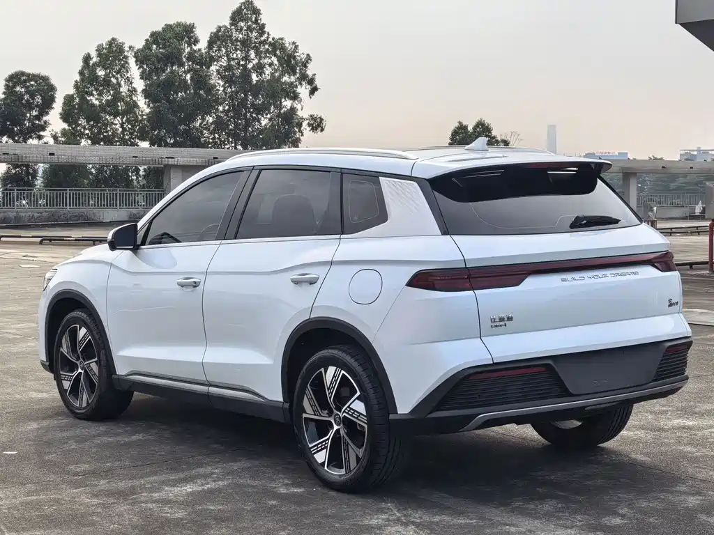 BYD Pro New Energy — фото 8
