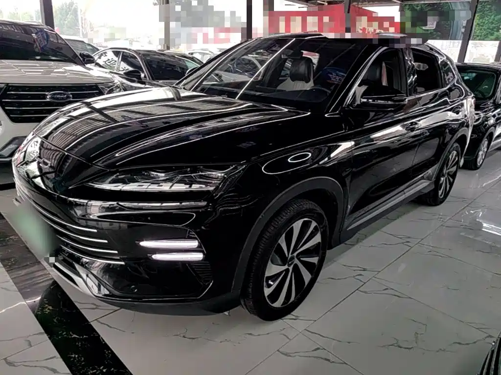 BYD PLUS New Energy — фото 2