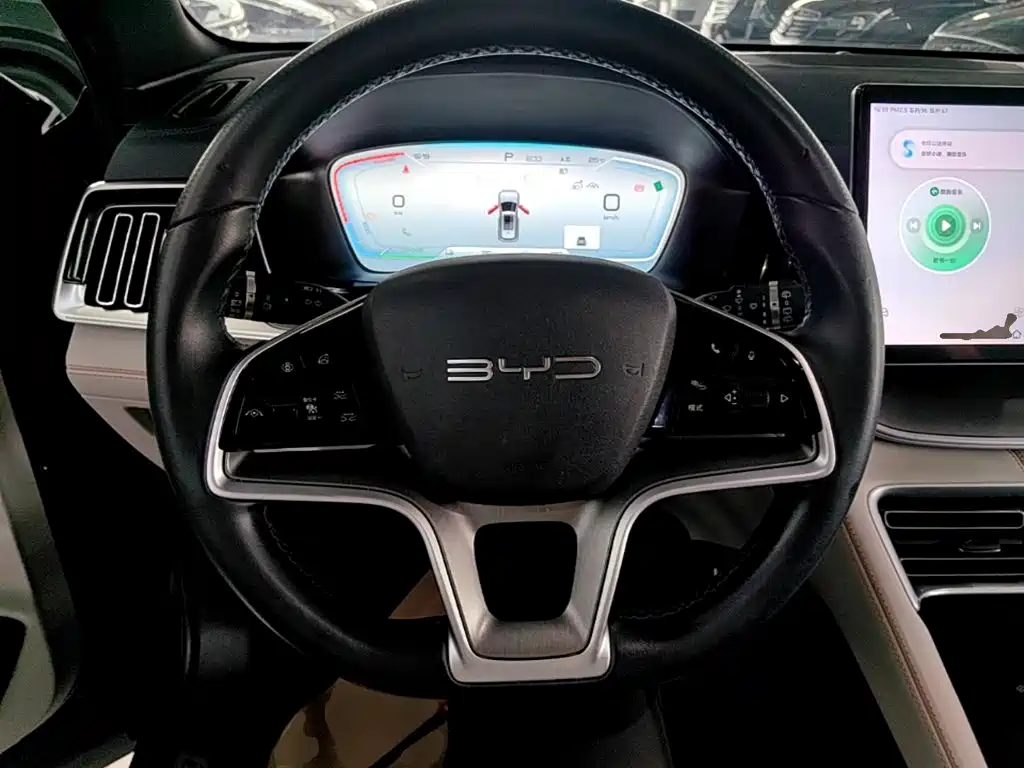 BYD PLUS New Energy — фото 11