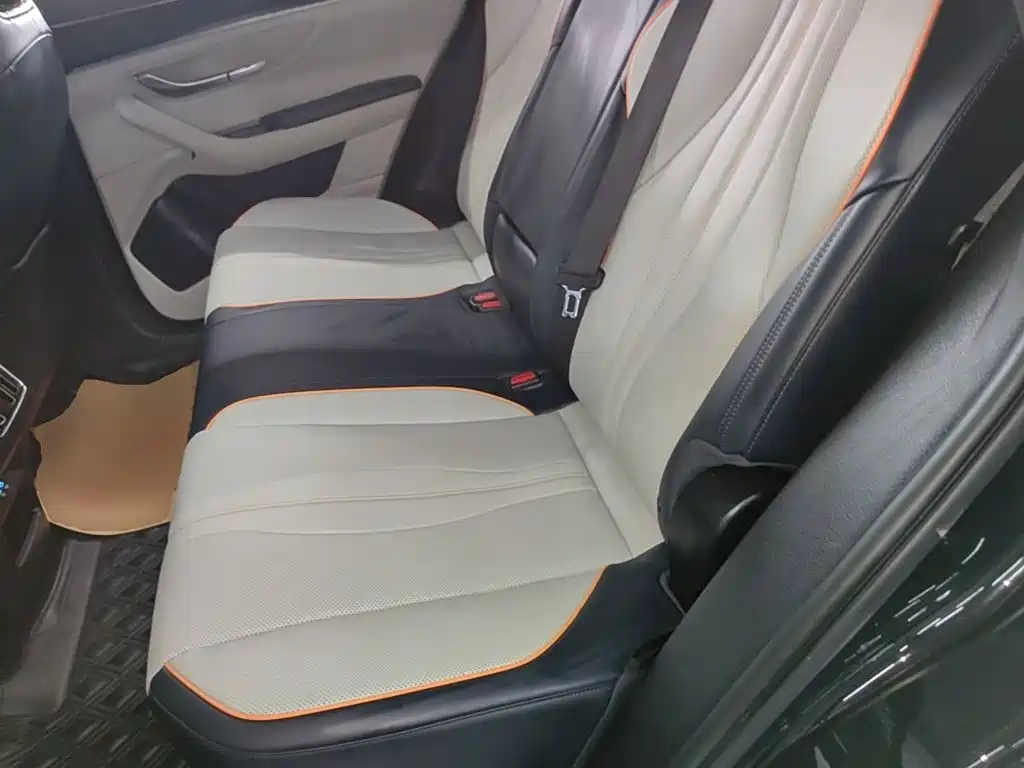 BYD PLUS New Energy — фото 17