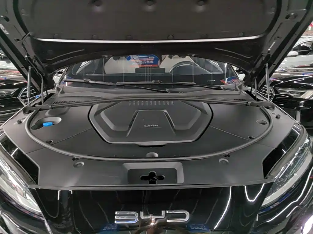 BYD PLUS New Energy — фото 20