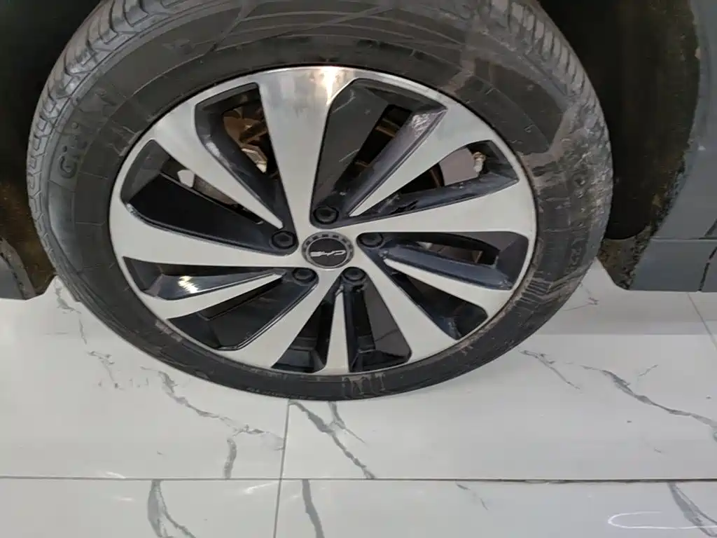 BYD PLUS New Energy — фото 23