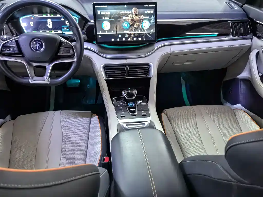 BYD PLUS New Energy — фото 8