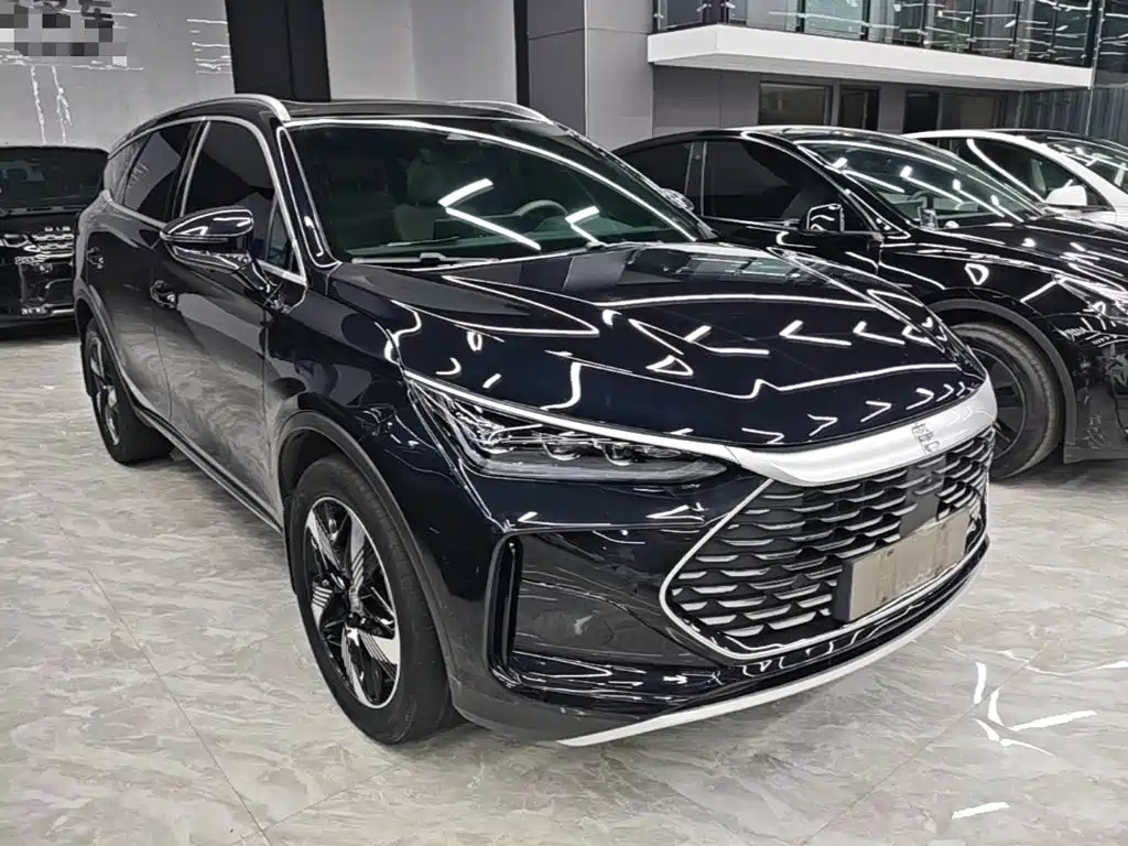 BYD Tang New Energy — фото 4