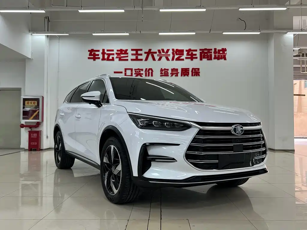 BYD Tang New Energy — фото 3
