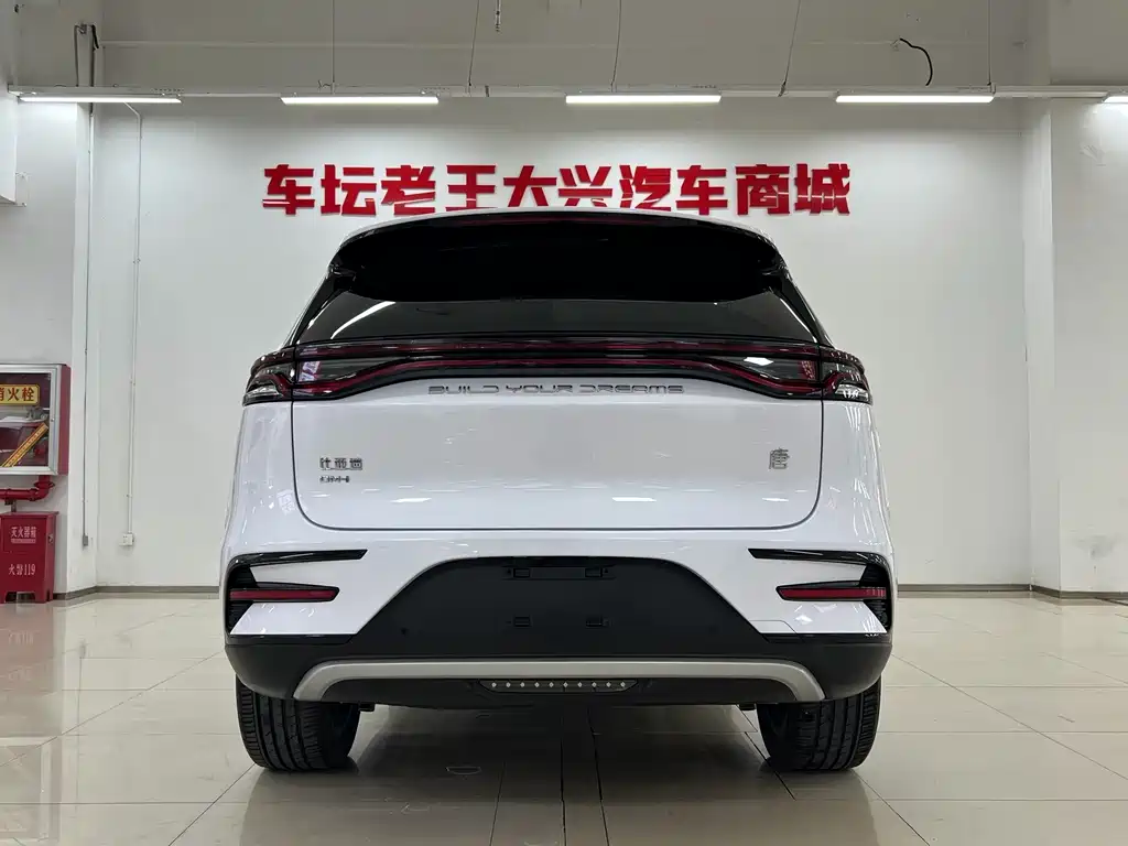 BYD Tang New Energy — фото 8