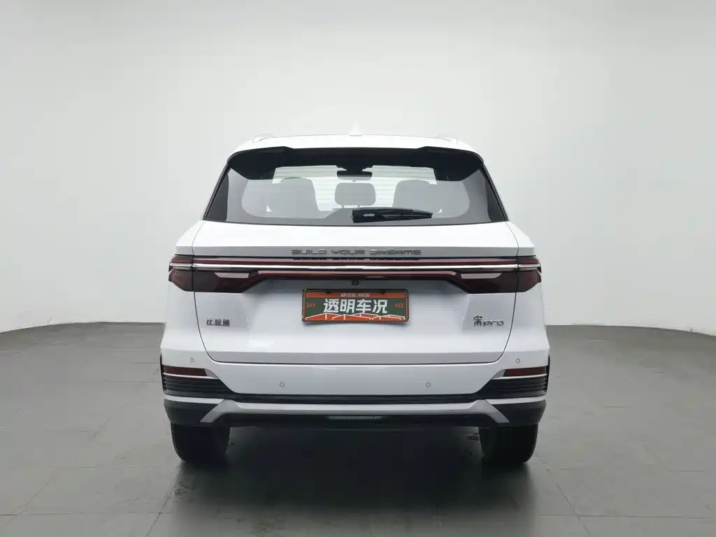BYD Pro — фото 4
