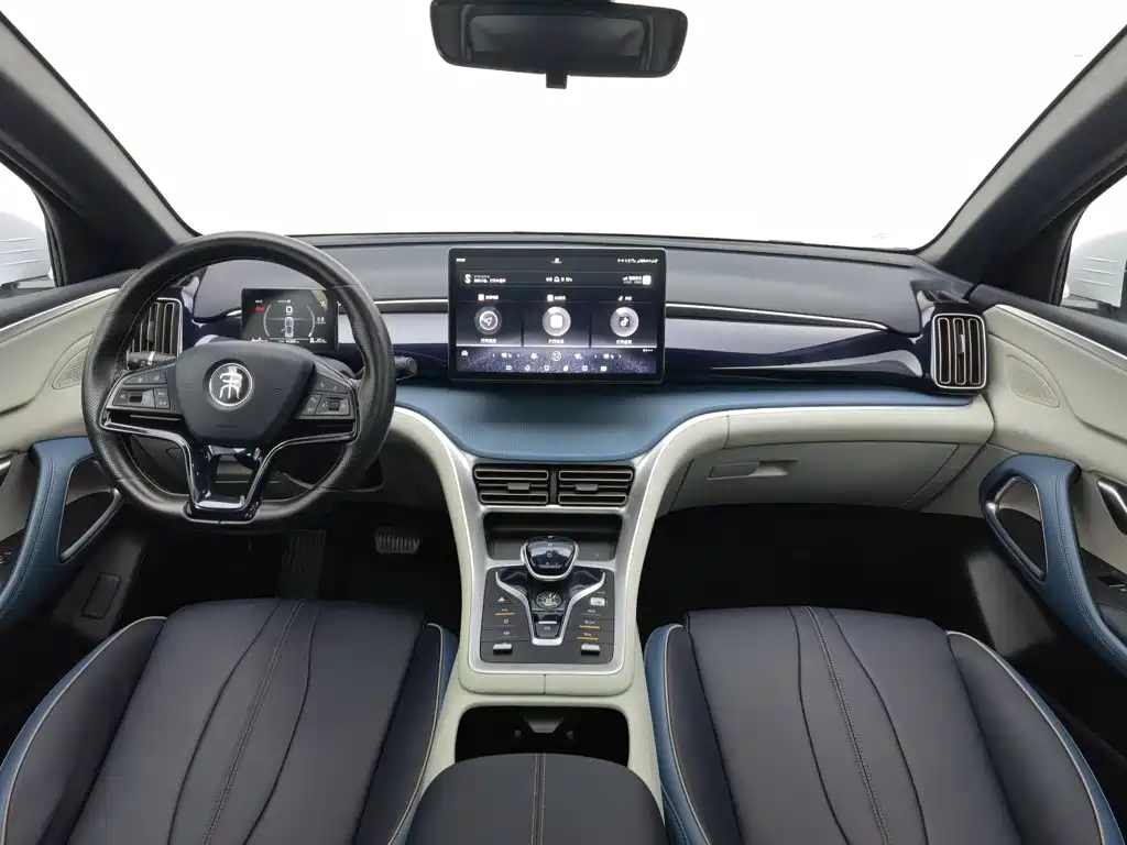 BYD Pro — фото 5