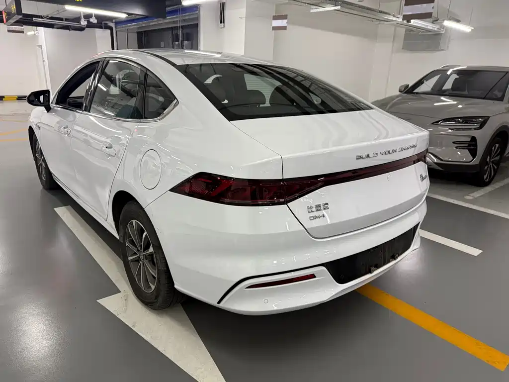 BYD Qin PLUS — фото 6