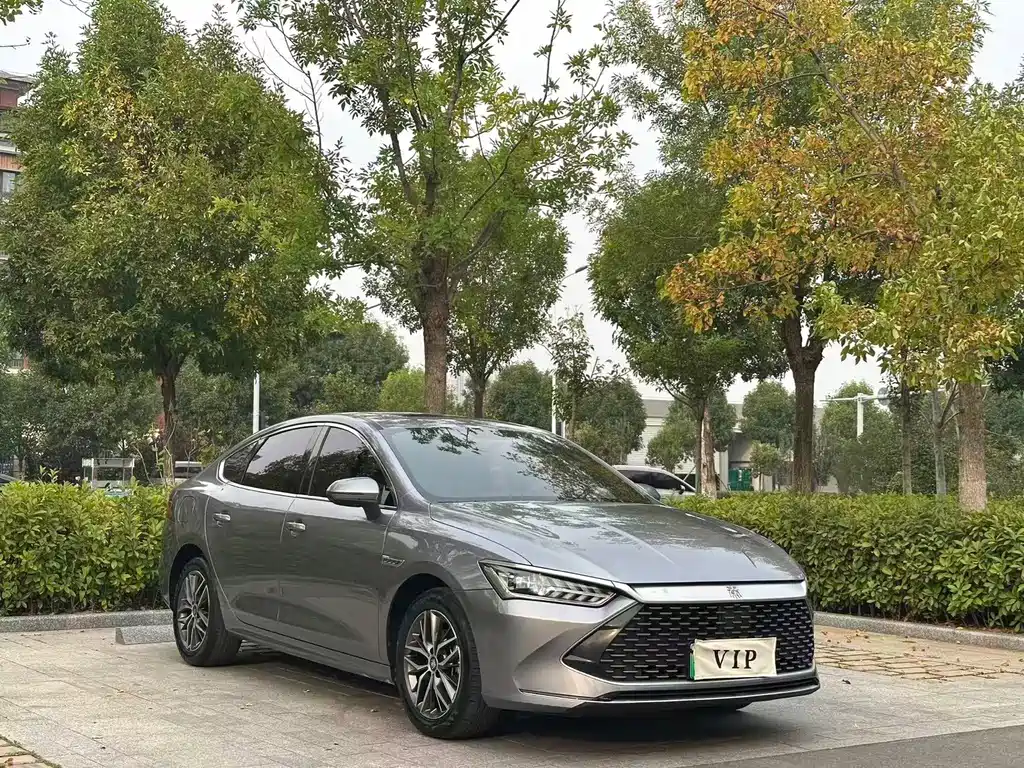 BYD Qin PLUS — фото 3