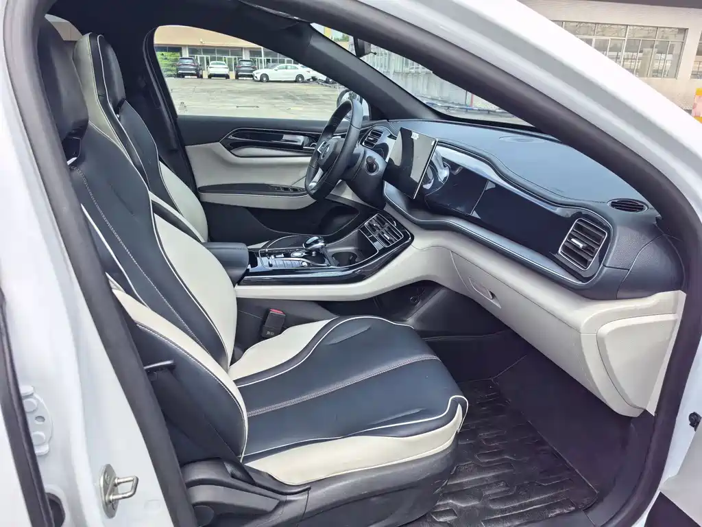 BYD Qin PLUS — фото 11