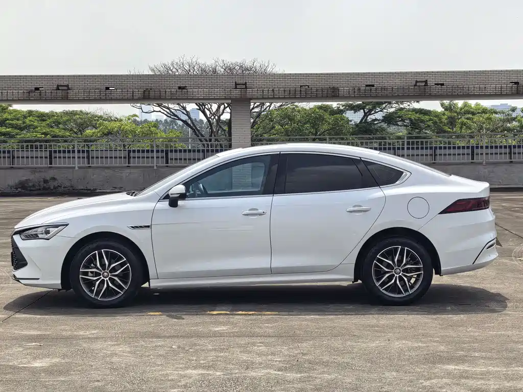 BYD Qin PLUS — фото 4