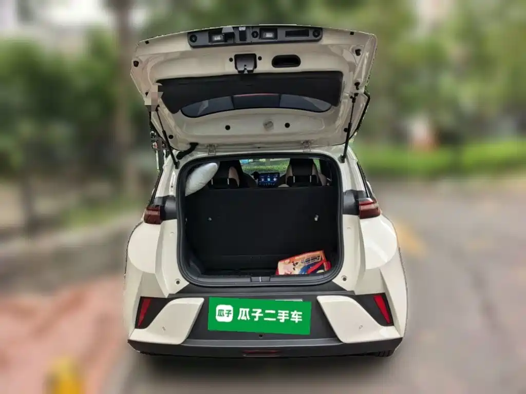 BYD Seagull — фото 20