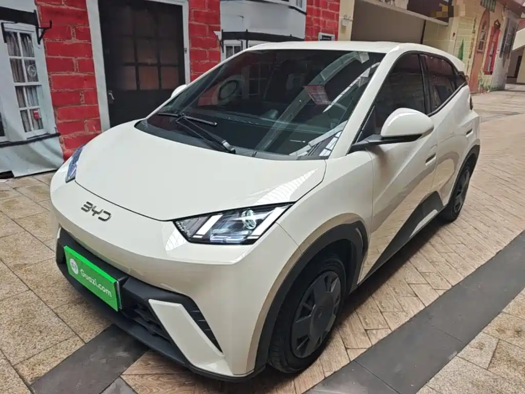 BYD Seagull