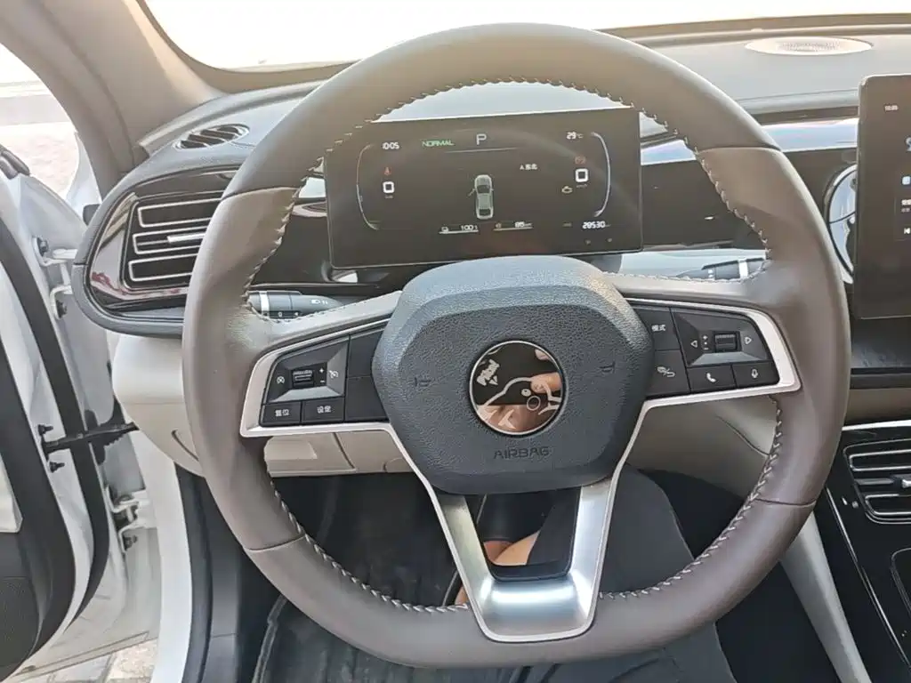 BYD Qin PLUS — фото 11