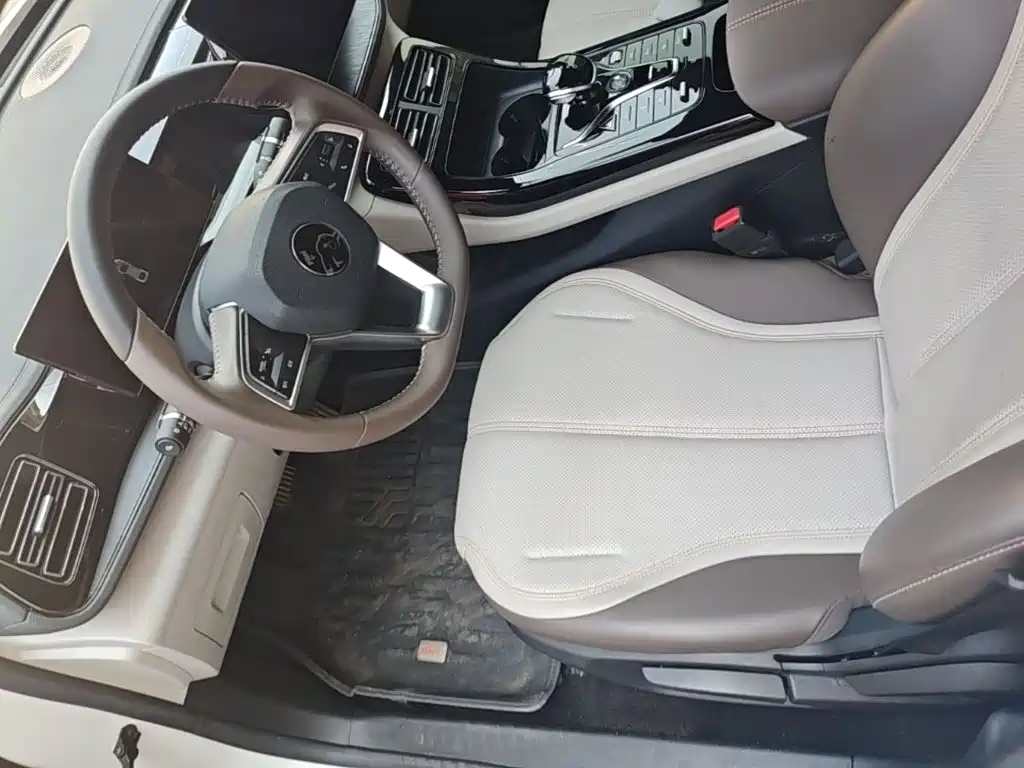 BYD Qin PLUS — фото 16