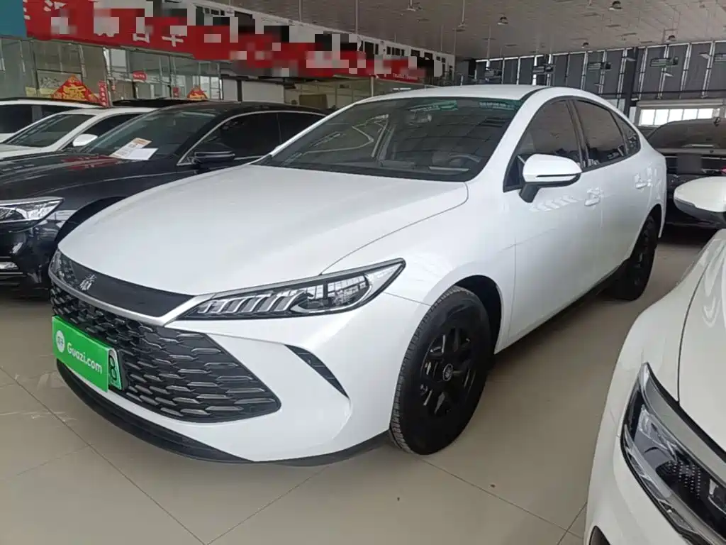 BYD Qin PLUS — фото 2