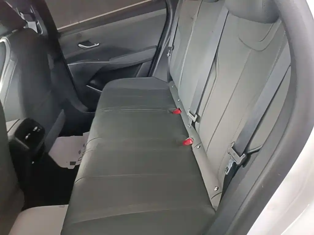 BYD Qin PLUS — фото 17