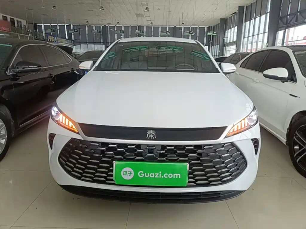 BYD Qin PLUS — фото 3