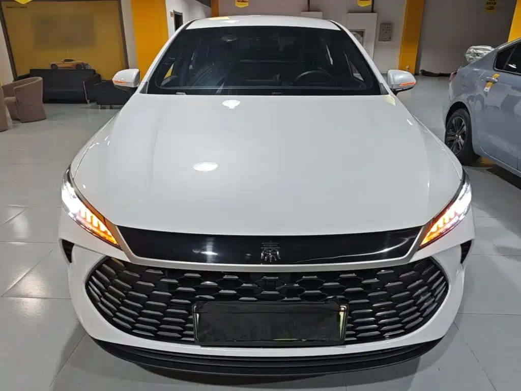 BYD Qin PLUS — фото 3