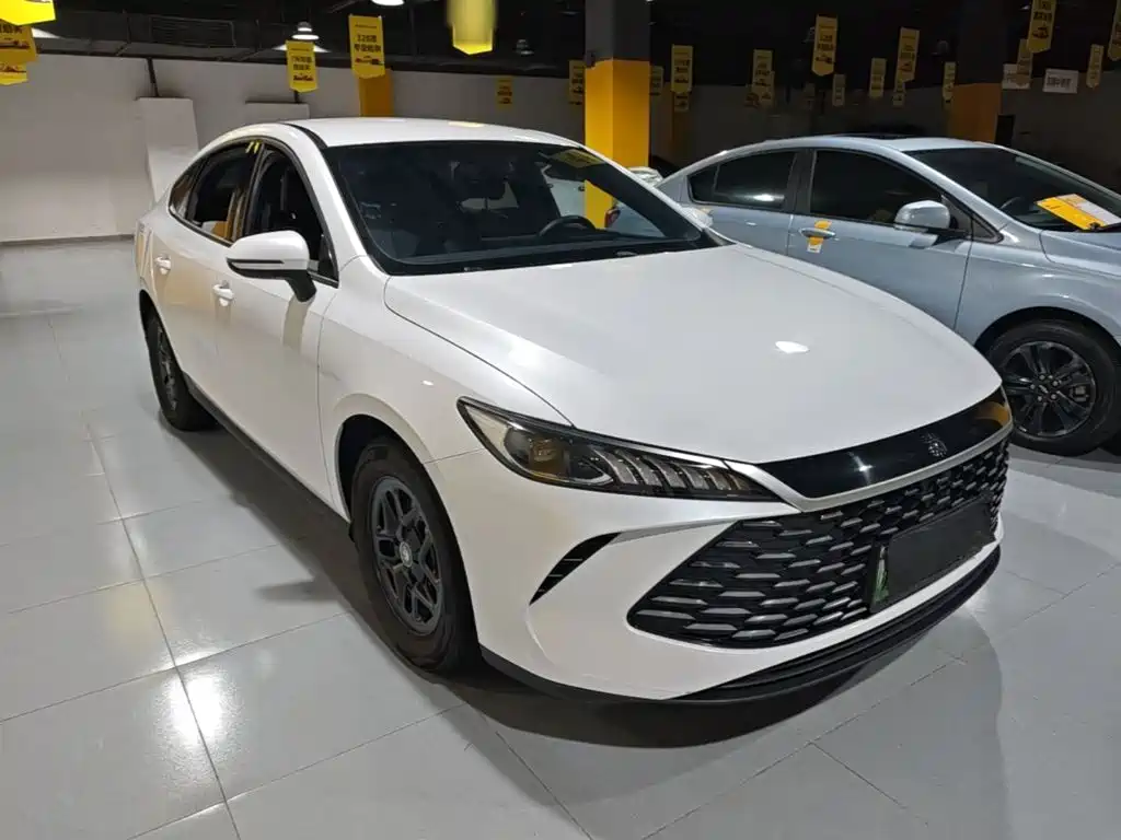 BYD Qin PLUS — фото 4