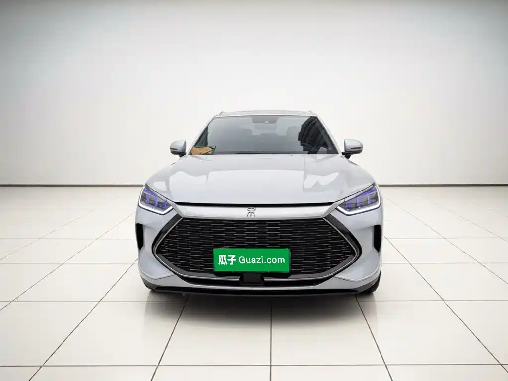 BYD PLUS New Energy — фото 2