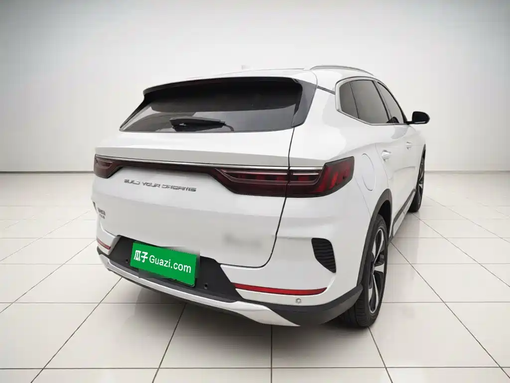 BYD PLUS New Energy — фото 4