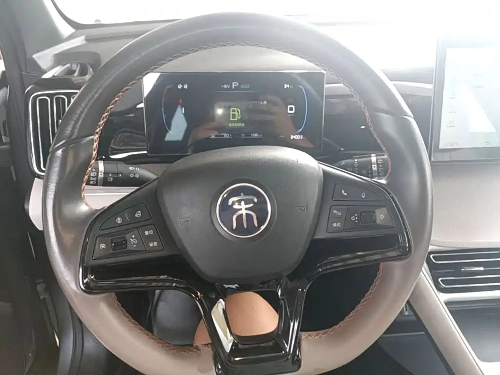 BYD Pro New Energy — фото 11