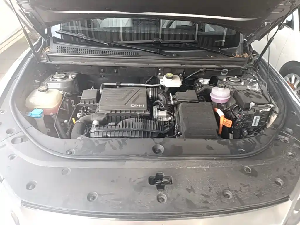 BYD Pro New Energy — фото 20