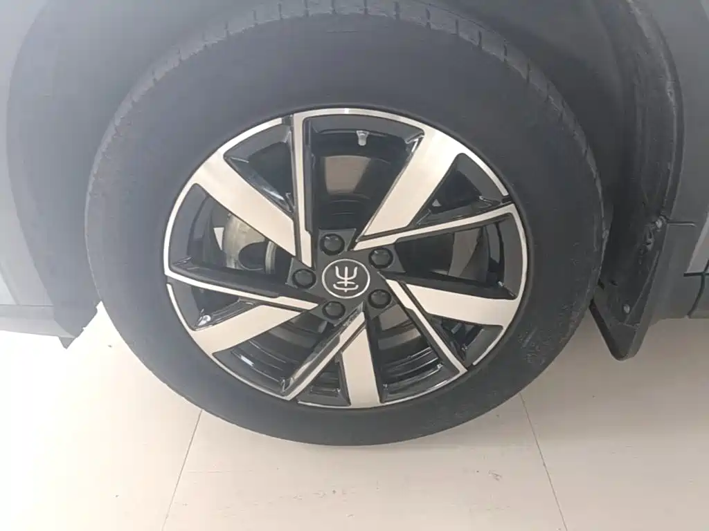 BYD Pro New Energy — фото 23