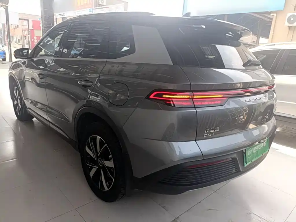 BYD Pro New Energy — фото 5