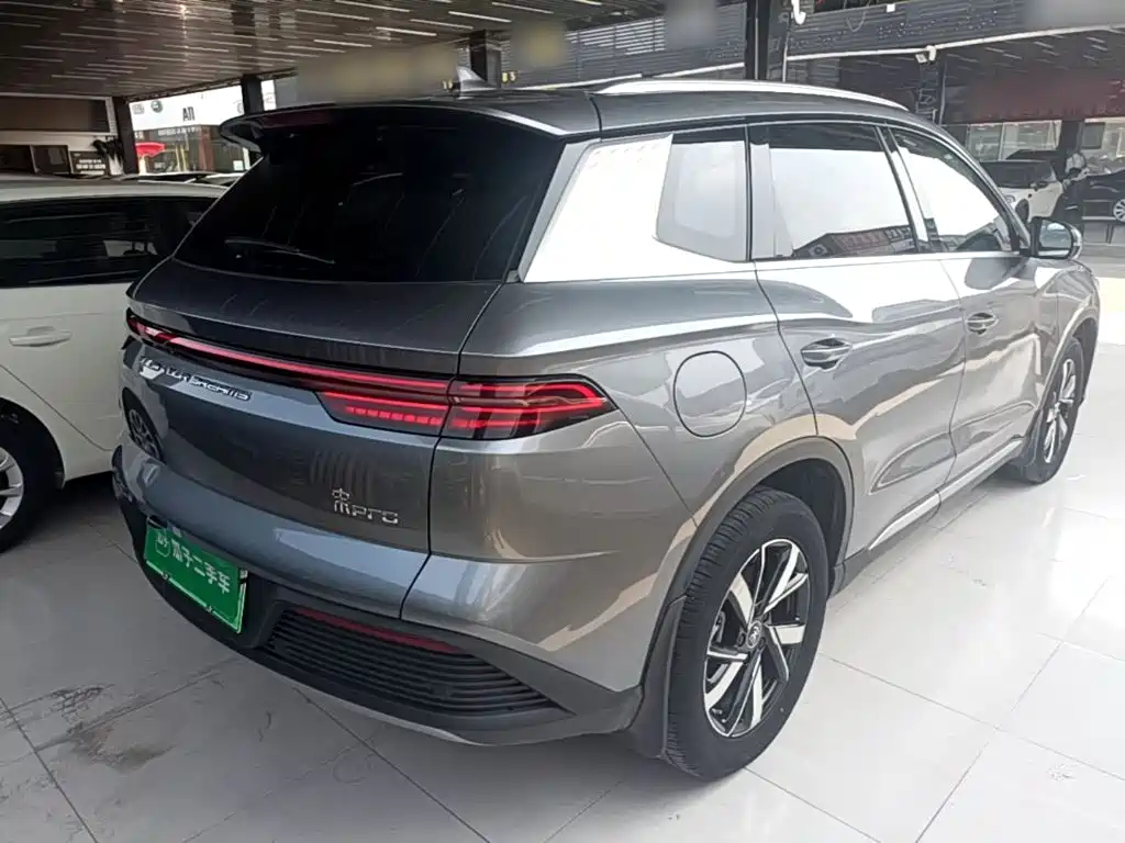 BYD Pro New Energy — фото 7