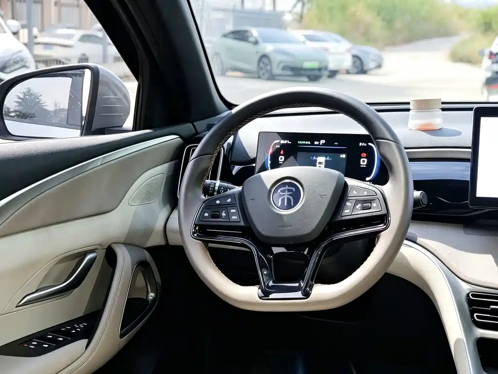 BYD Pro New Energy — фото 13