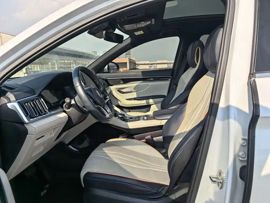 BYD PLUS New Energy — фото 10