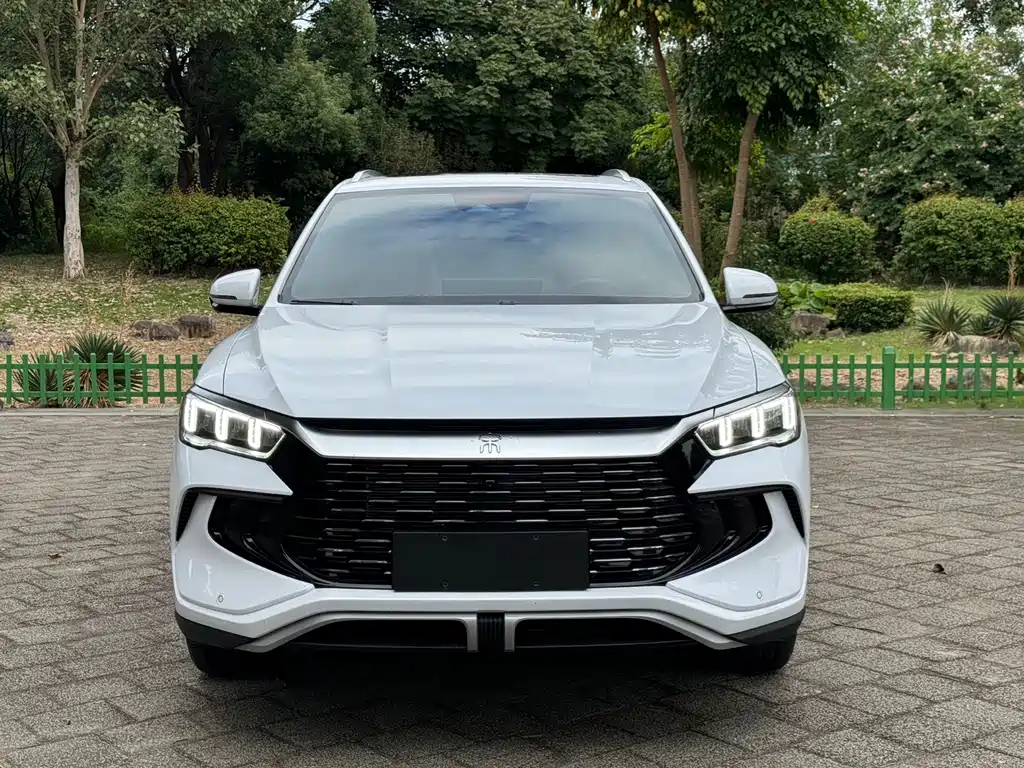 BYD Pro New Energy — фото 2