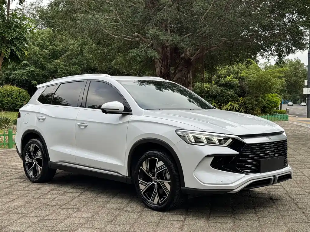 BYD Pro New Energy — фото 3