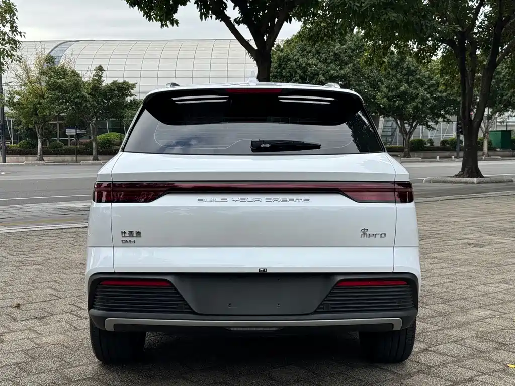 BYD Pro New Energy — фото 5