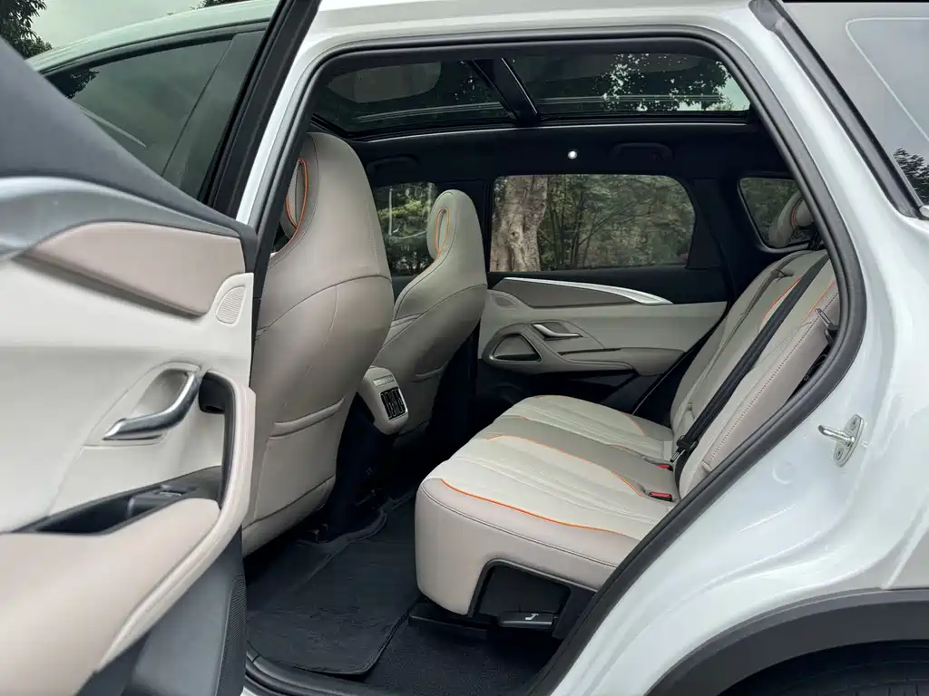 BYD Pro New Energy — фото 9