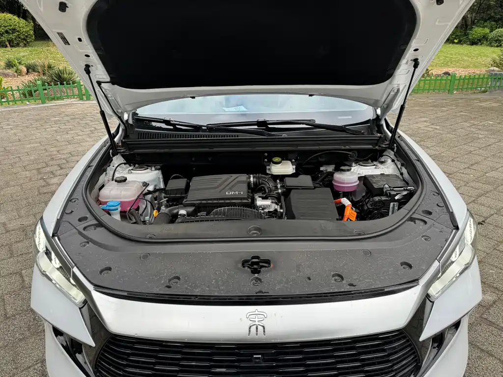 BYD Pro New Energy — фото 10
