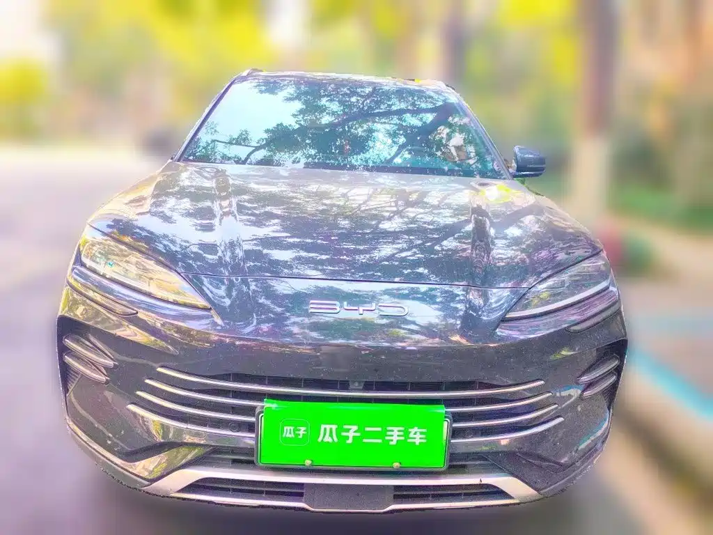 BYD PLUS New Energy — фото 2