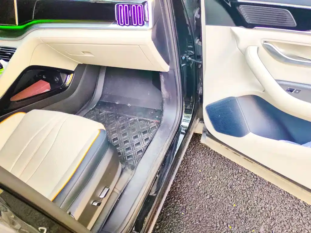 BYD PLUS New Energy — фото 19