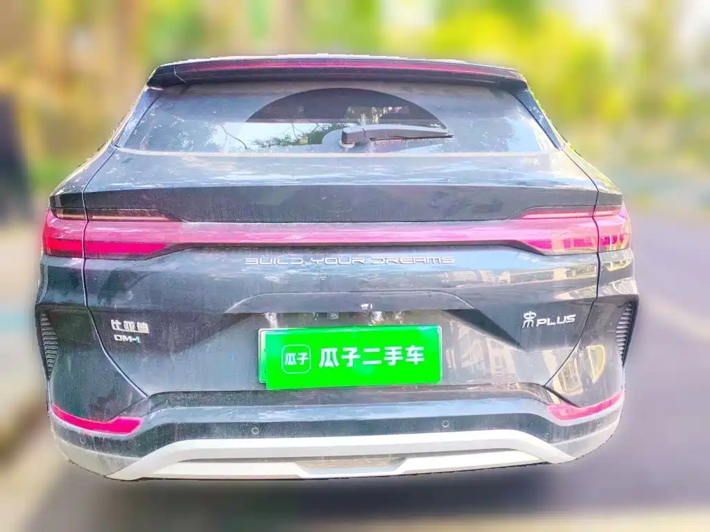 BYD PLUS New Energy — фото 3