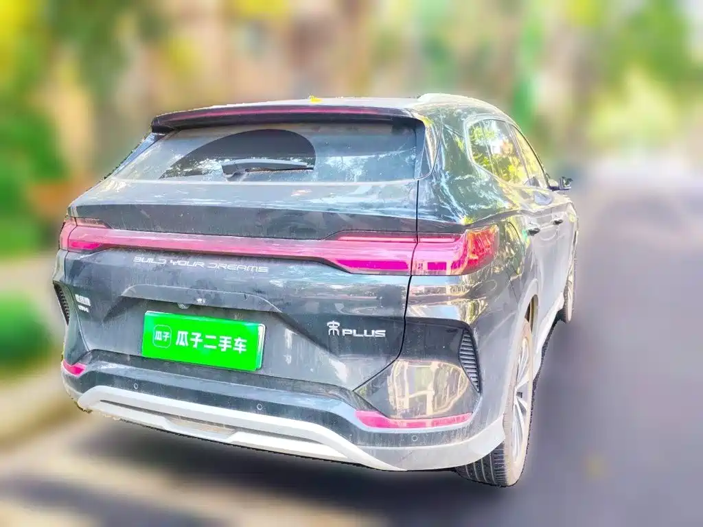 BYD PLUS New Energy — фото 4