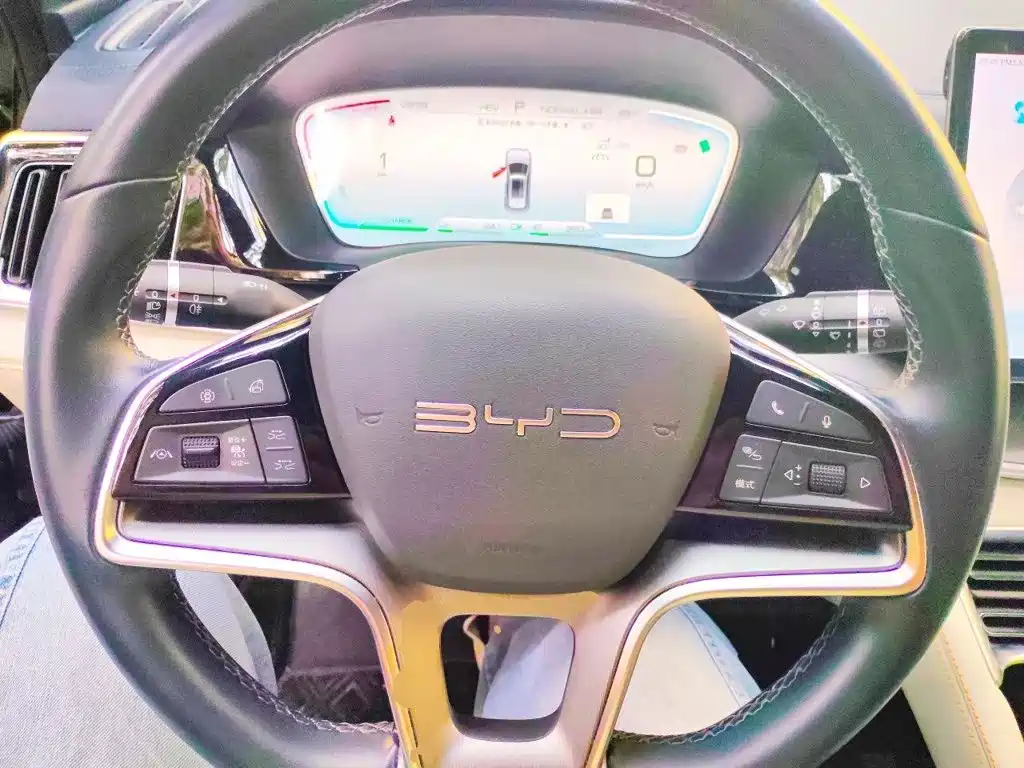 BYD PLUS New Energy — фото 6