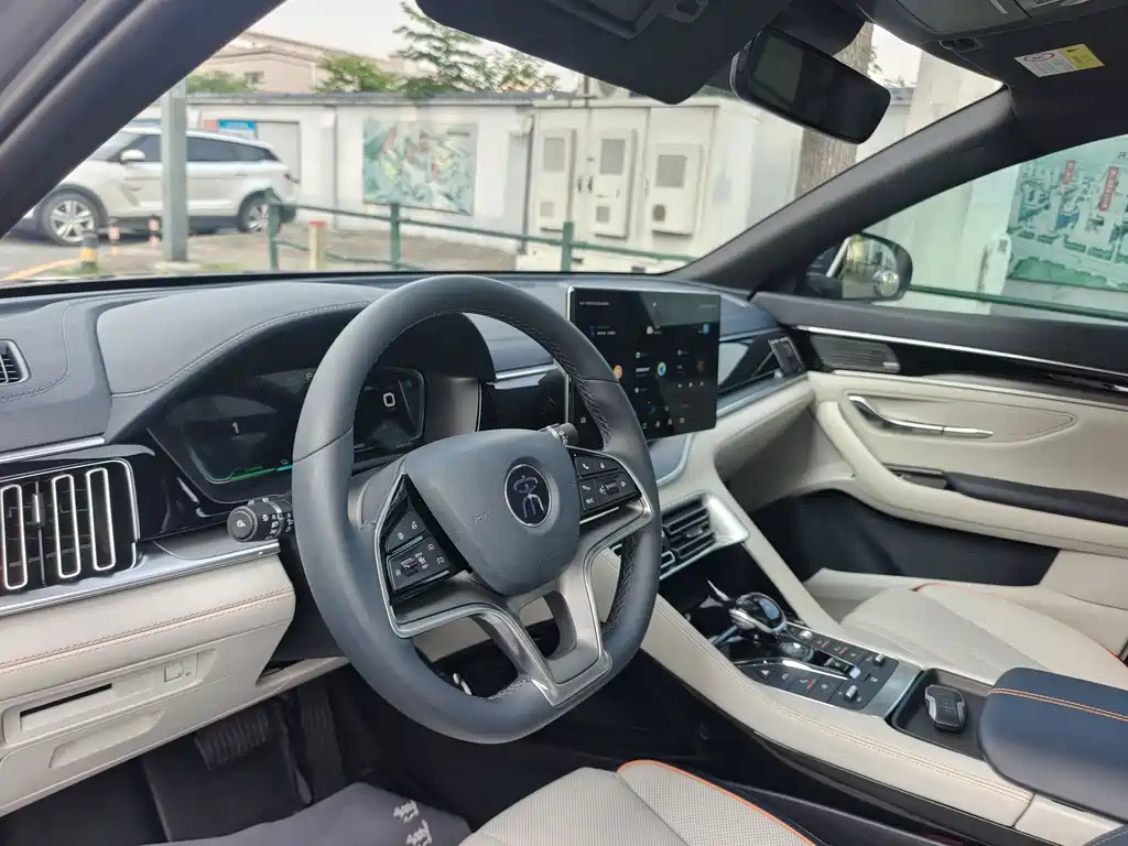 BYD PLUS New Energy — фото 10