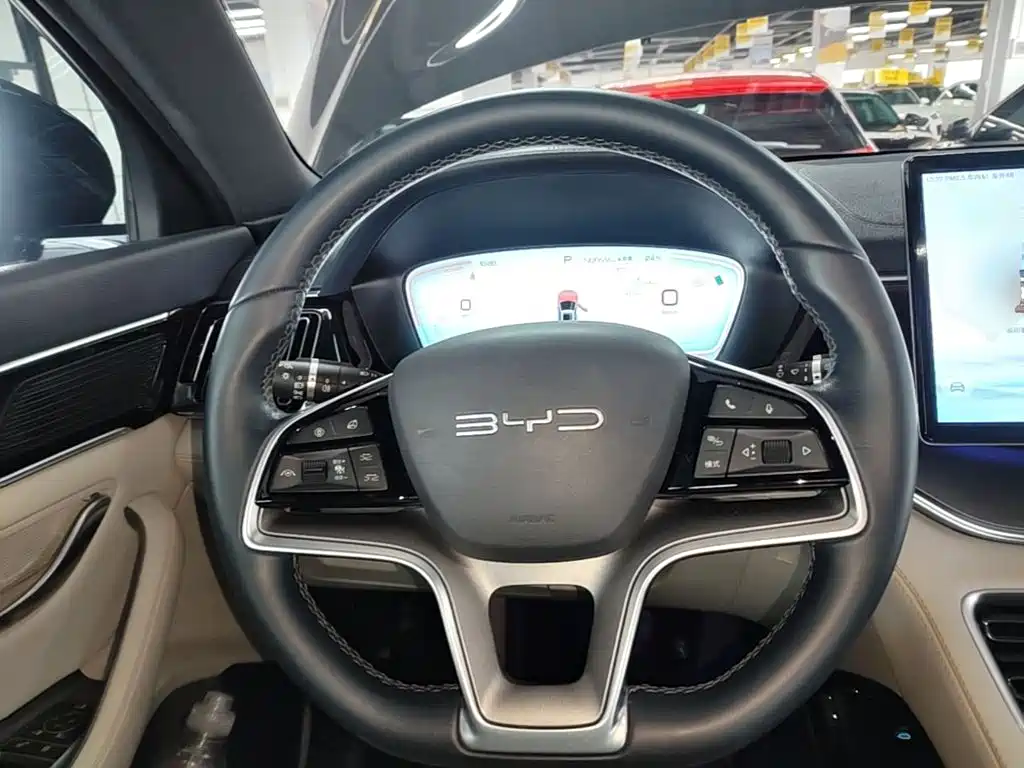 BYD PLUS New Energy — фото 11