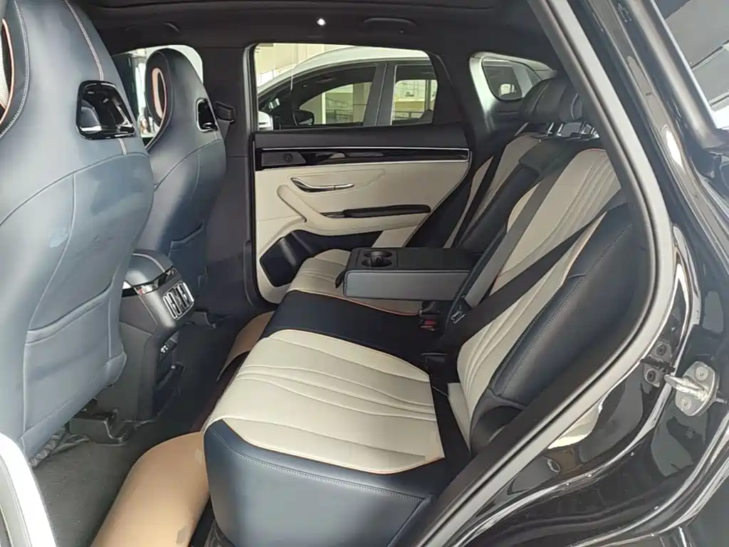 BYD PLUS New Energy — фото 17