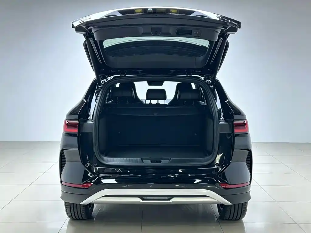 BYD PLUS New Energy — фото 19