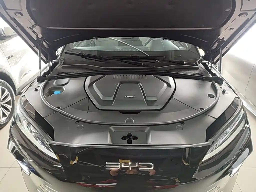 BYD PLUS New Energy — фото 20