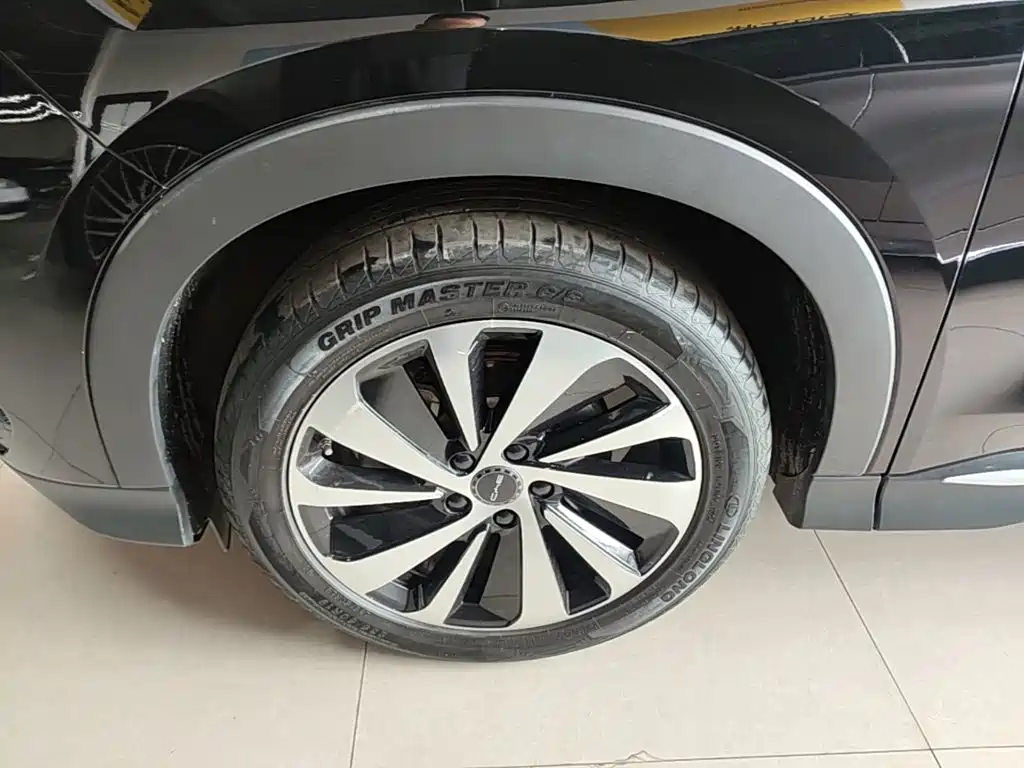 BYD PLUS New Energy — фото 23